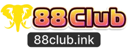 WP Blank Site